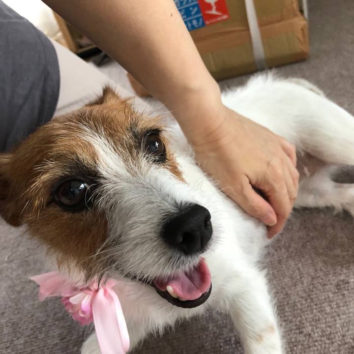 04de067a d761 4e4a a7b2 201283bc8b83 1541905865838