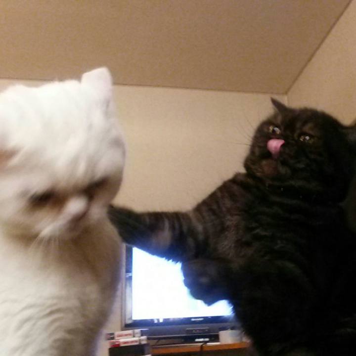 04de2446 2466 4561 81ee 2aabe5c1079c 1514866398011