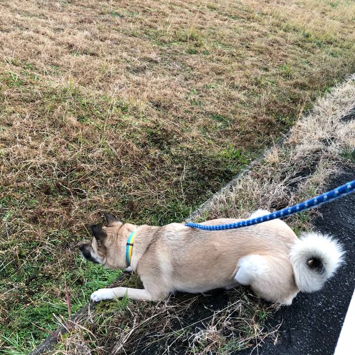 04de3bba faca 407a a1eb feab1138eb6a 1549626054104