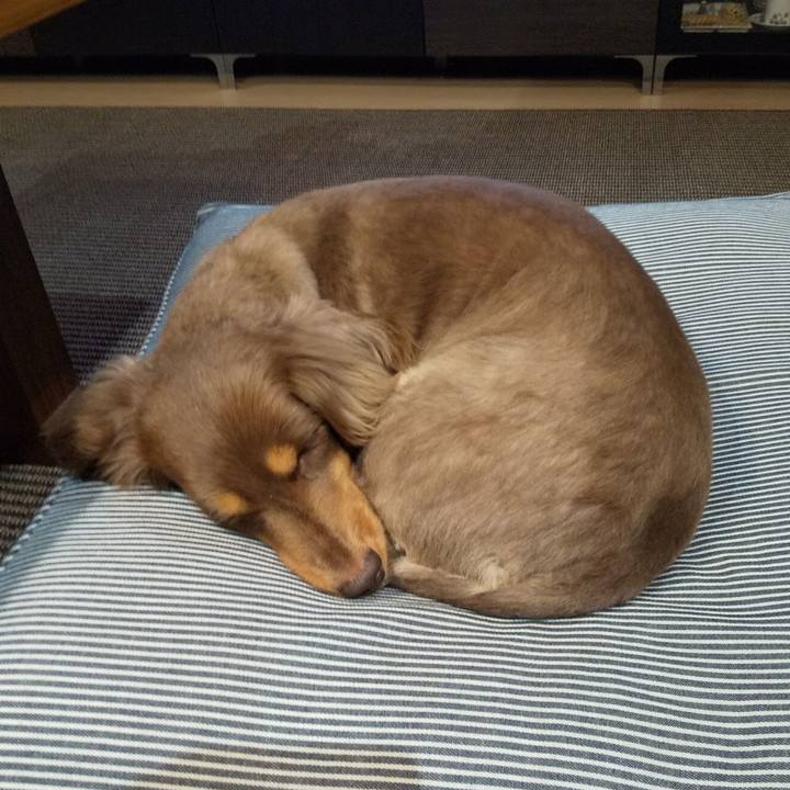 04de4b60 782c 43e6 be92 a22c3b763580 1586076937828