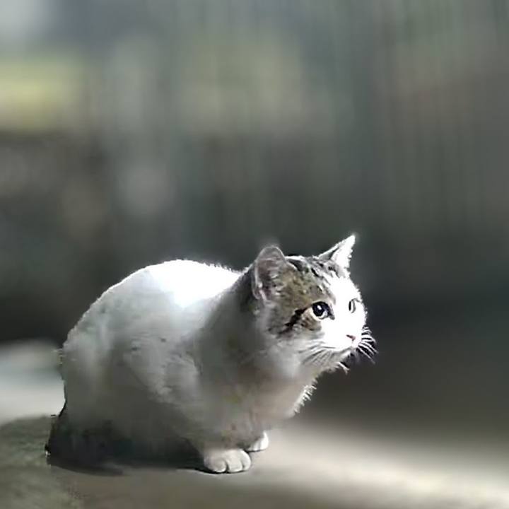 04de77b1 dc3a 4f3d 9953 0a17d8924fb3 1740145236177