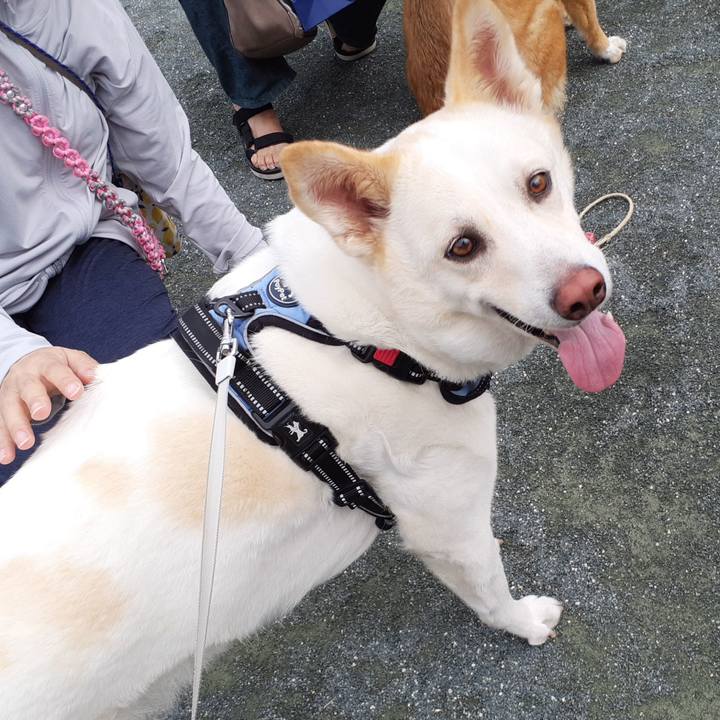 04de9365 b0d9 4a80 ab4f 34f4ba8cce7e 1654558354925