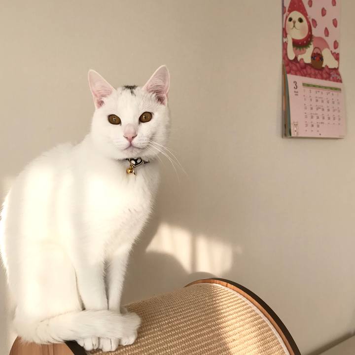 04de947d 1d6e 44a3 9ab3 bca80d7647b6 1583319668825