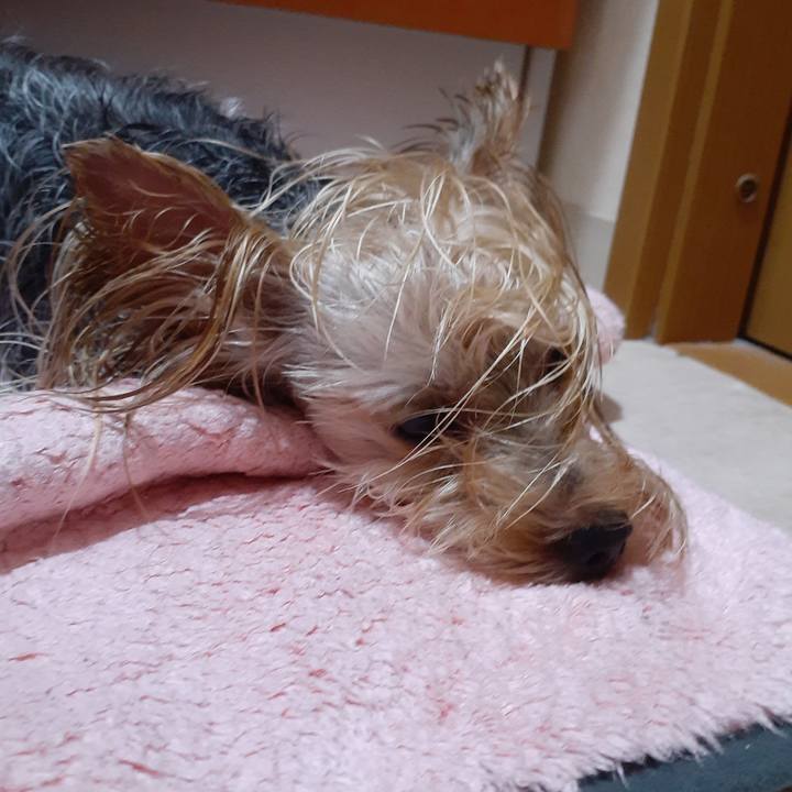 04dea54c 4c3c 427d 8d32 3249981e6087 1566254872534