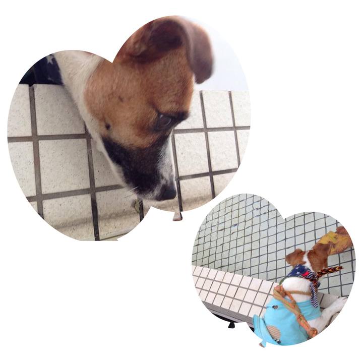 04dec182 4705 4cdd 8dd6 e51215a29650 1659608603217