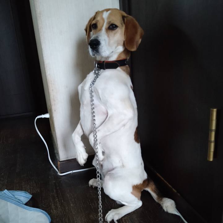 04decc18 ae78 435f 8474 4fb1e463db18 1621921639874