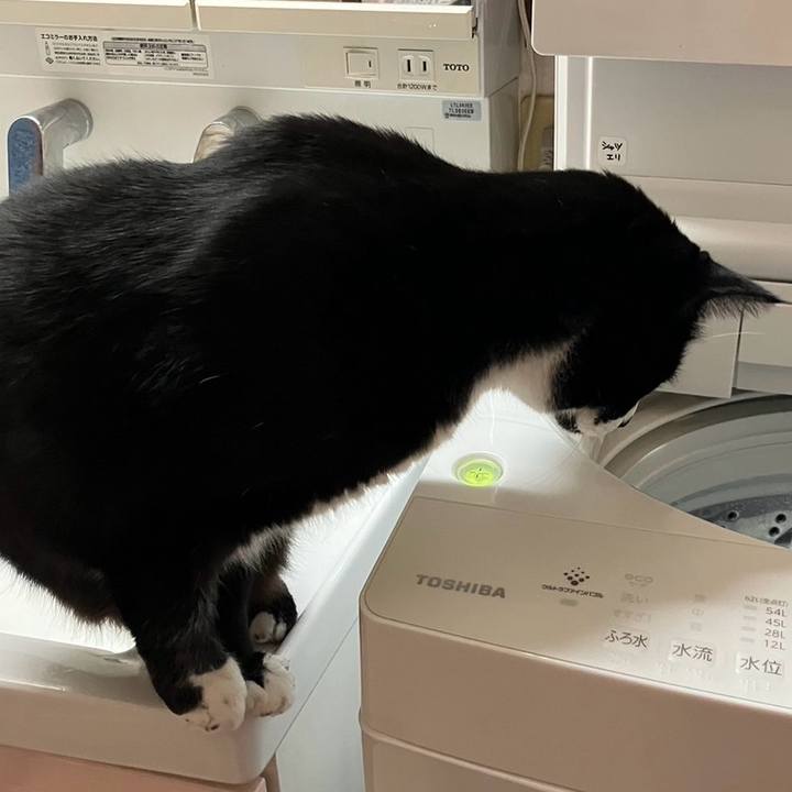 04ded80a 02a2 417b b157 17b51a5e72ca 1704942723528