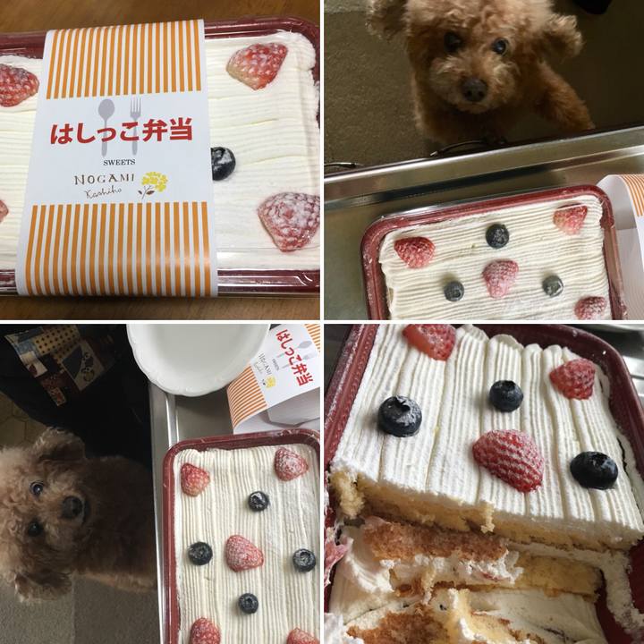 04deea38 ca33 4cdd 812a 21bb04e67df6 1518583484223