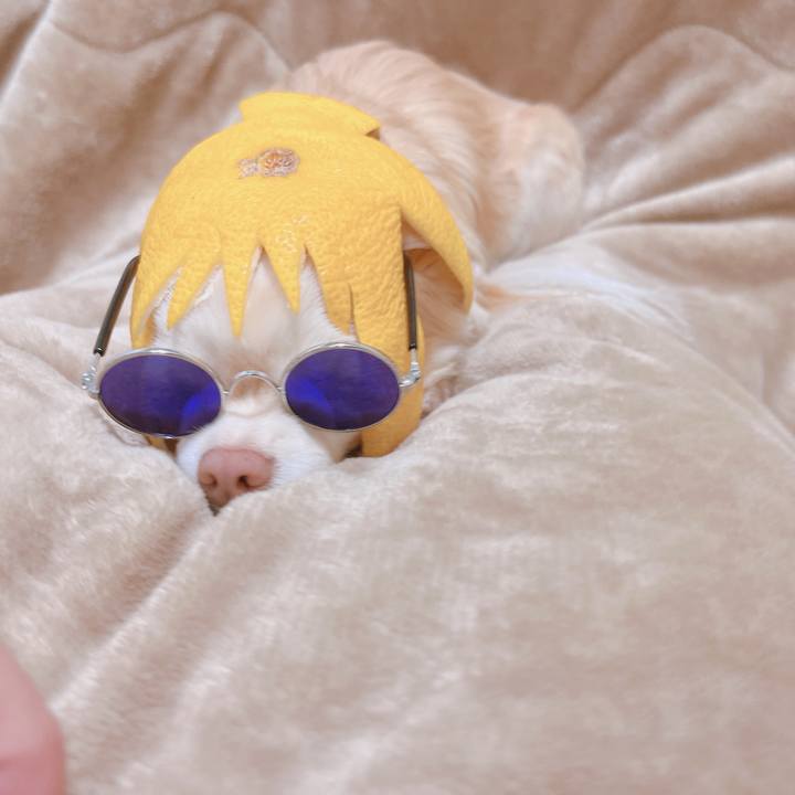 04df2062 31db 4e27 995e 0469c2d125dd 1674299568260