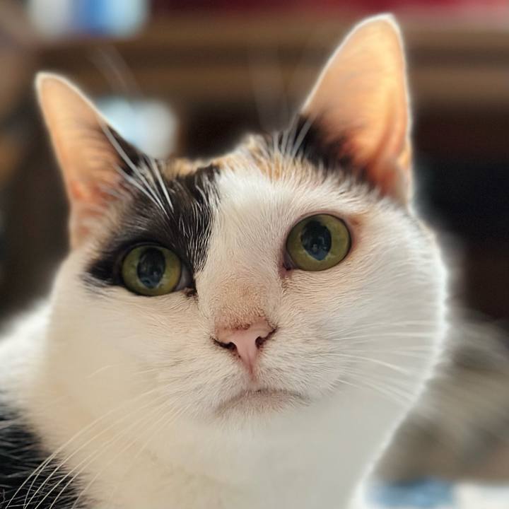 04df23e9 be75 4f2d 9451 67045bc9153a 1689037889932