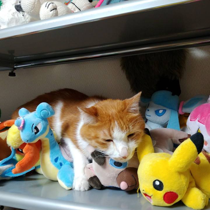 04df245b e464 4379 9b77 0a776bdff973 1632005367539