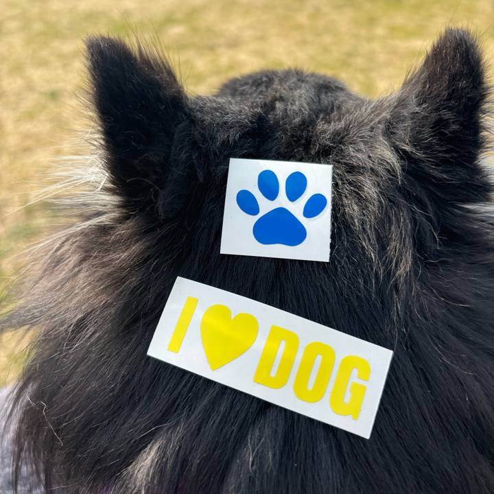 04df61ab b16b 4b4c b9dc 4cffac07015f 1769952485858