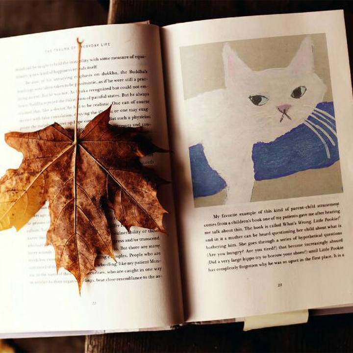 04df6527 36da 49fd be7f 5cc54f05c003 1537620389383