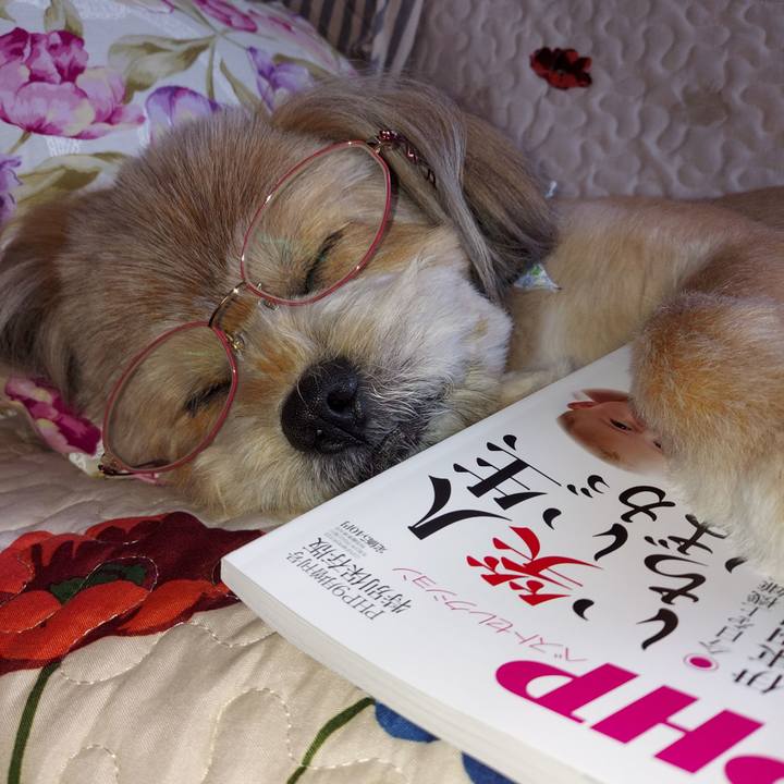 04df8136 ea74 4361 93fb 281f7ffdef8f 1626753525427