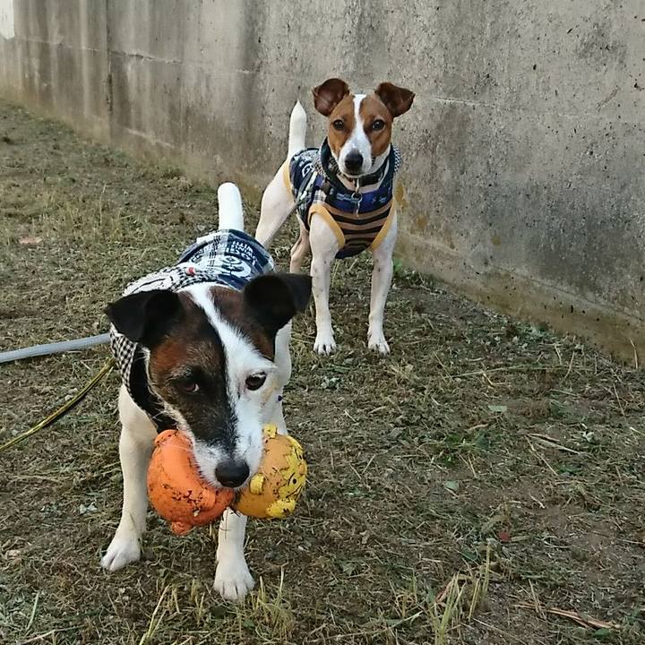 04dfaf97 bd16 46ff 8df2 141fb6fa0c38 1534630399184