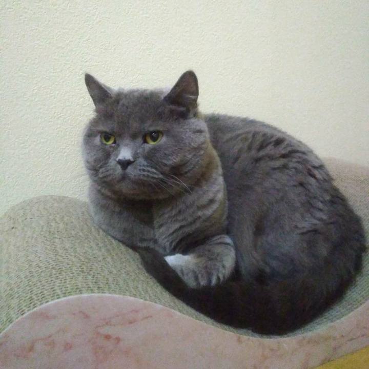 04dfe524 0338 464e 8868 e3e69b0aae9f 1589355277511