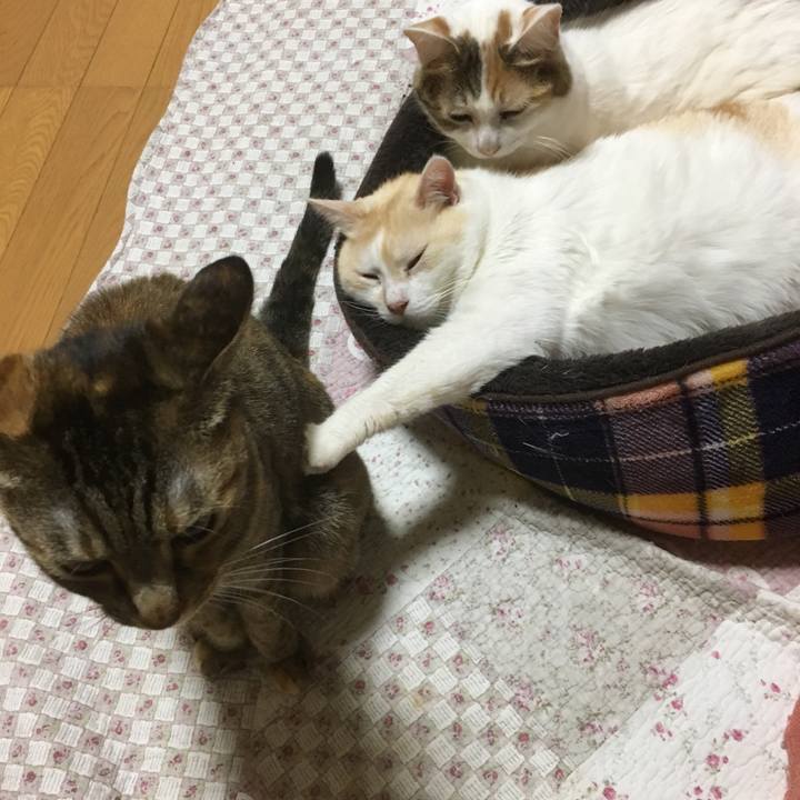 04dfedf0 1c0c 450a 8aa5 10703307026a 1516367564034