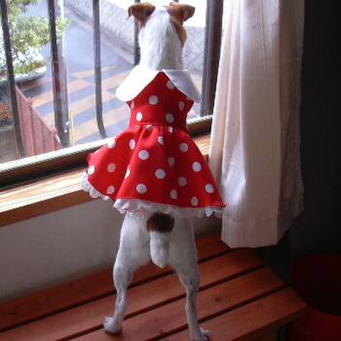 04dfeea1 3790 4860 9a1f 1e07be28451d 1544719011455