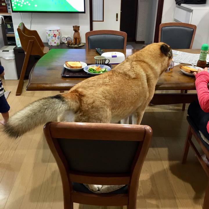 04e01696 25c9 4d69 9a43 ca1152227767 1527550919503