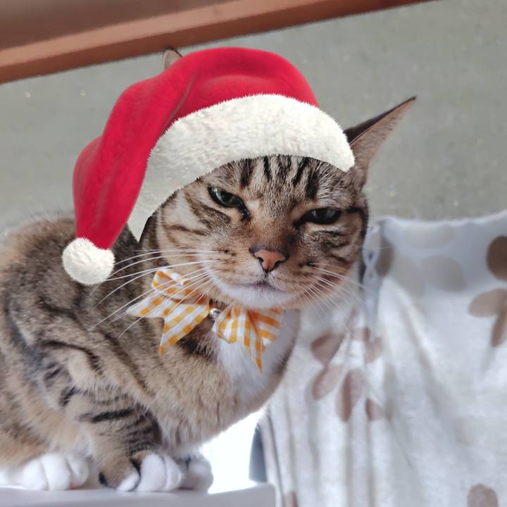 04e04288 3f84 4a73 ba55 8e319bc72c21 1766540017894