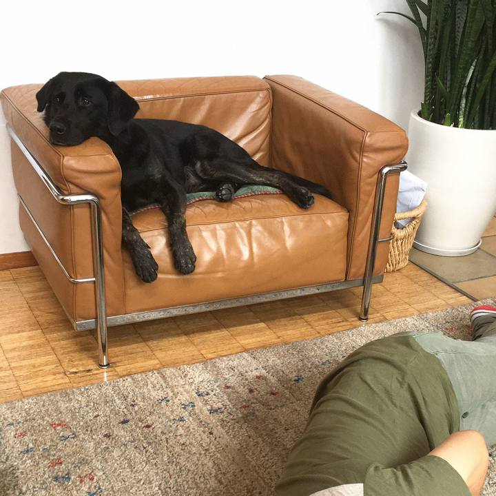 04e0574e cbbe 49a4 b6d8 30438d1d10e3 1569212705330