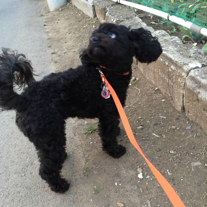 04e09772 ade1 480a 9470 82f439d57bec 1522746649737