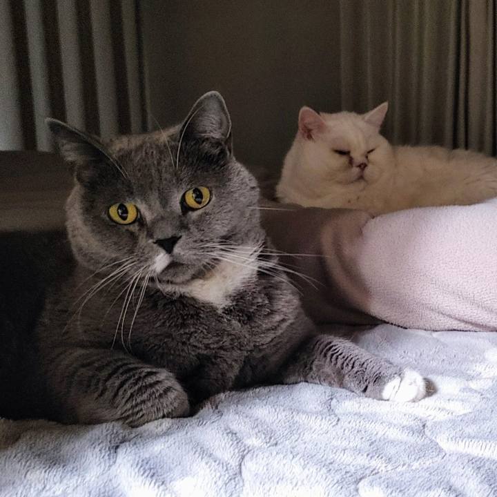 04e0a5ee 39c1 4b1f b620 0cf9c4c13a68 1732199722328