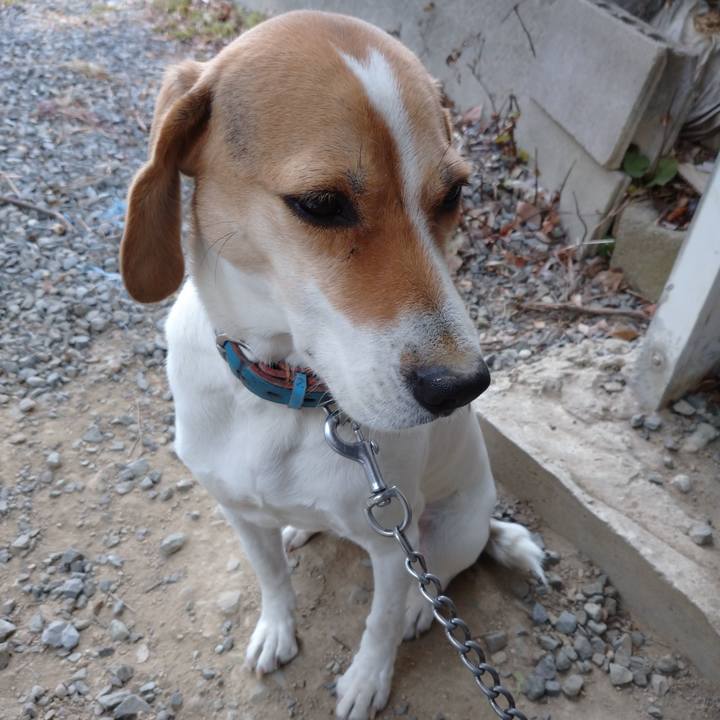 04e0cd42 17c9 43aa 9966 82e6f7653860 1608264297860