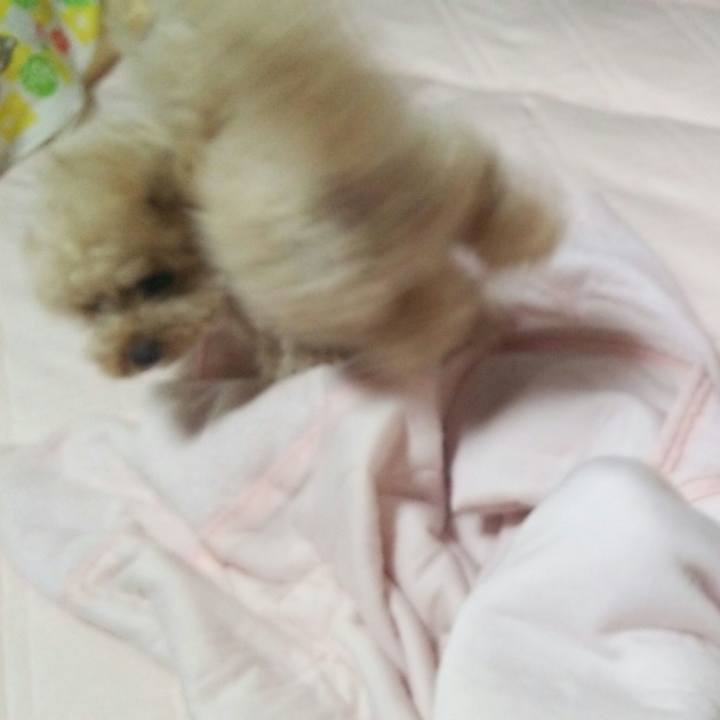 04e1156a 05c0 4b78 8f14 5c87a3fb1534 1531527213212