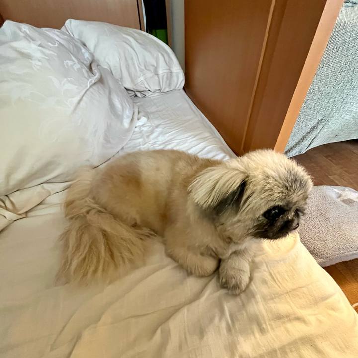 04e1227c 4295 4ef6 a82a 9b06c11bdda0 1748551653705