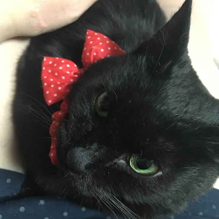 04e126ce 7228 4a39 b5dd dc2cce381da0 1550059031134