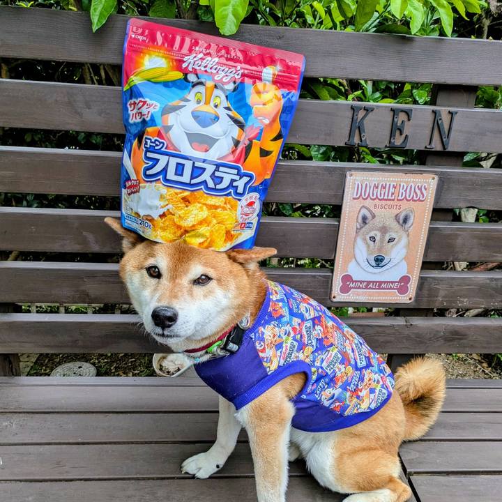 04e16b79 f3b9 4b0b 8128 4bc4454eb007 1748504888647