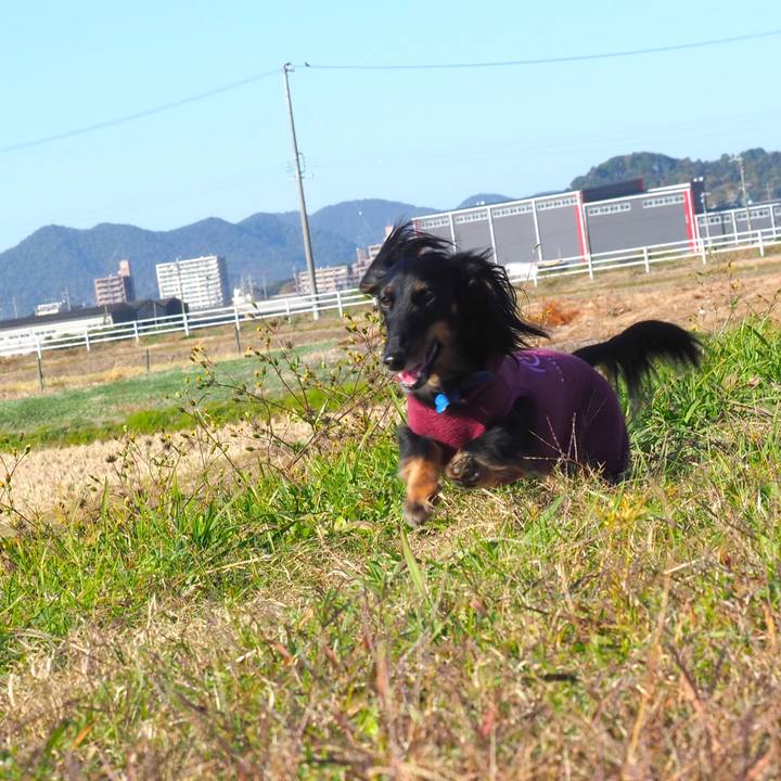 04e1b97e 5727 4614 a2f3 04723dd7fa0d 1605333145389