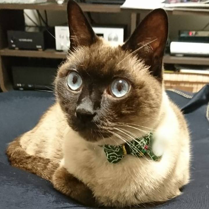 04e1ea49 8c4a 486e 9dd3 8bb73ca98045 1516316128731