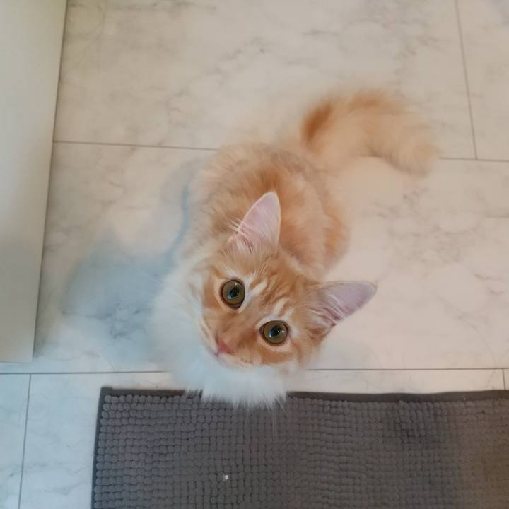 04e1eaab b863 482d bb2e 314b71200852 1623365110760