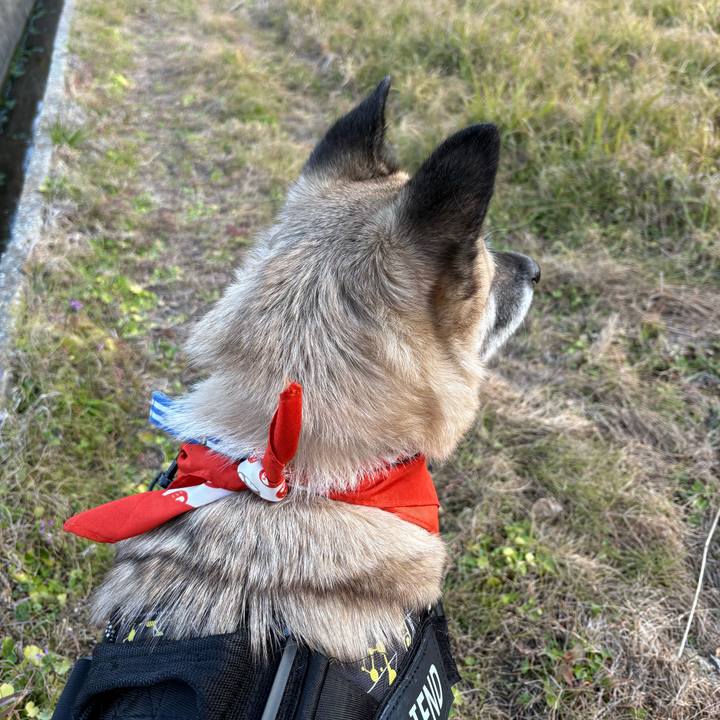 04e212a4 f3a5 47e6 8c31 c40660327121 1735813046557