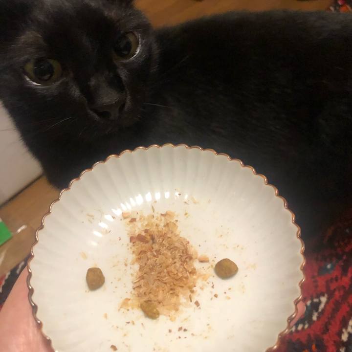 04e21308 52f8 401c a41b 5e0a92ce0c9c 1655987380251