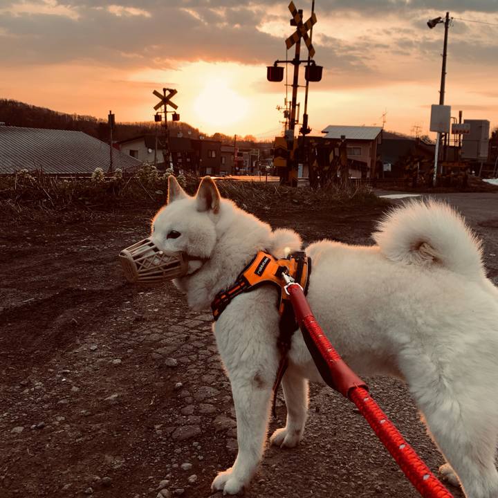 04e22cb7 3fc1 4a6d 935d a5c3b22bf38d 1650144339626