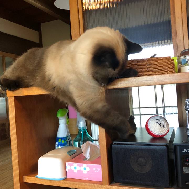 04e26ae8 a72f 4eb1 a6c6 5ab7f6c66013 1632441801148