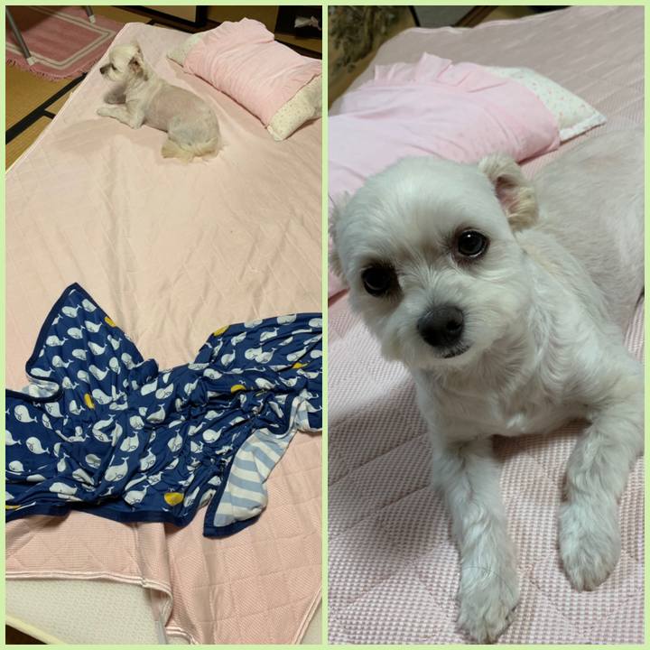 04e2d070 cd14 464e afb7 1c61f782244b 1567507103790