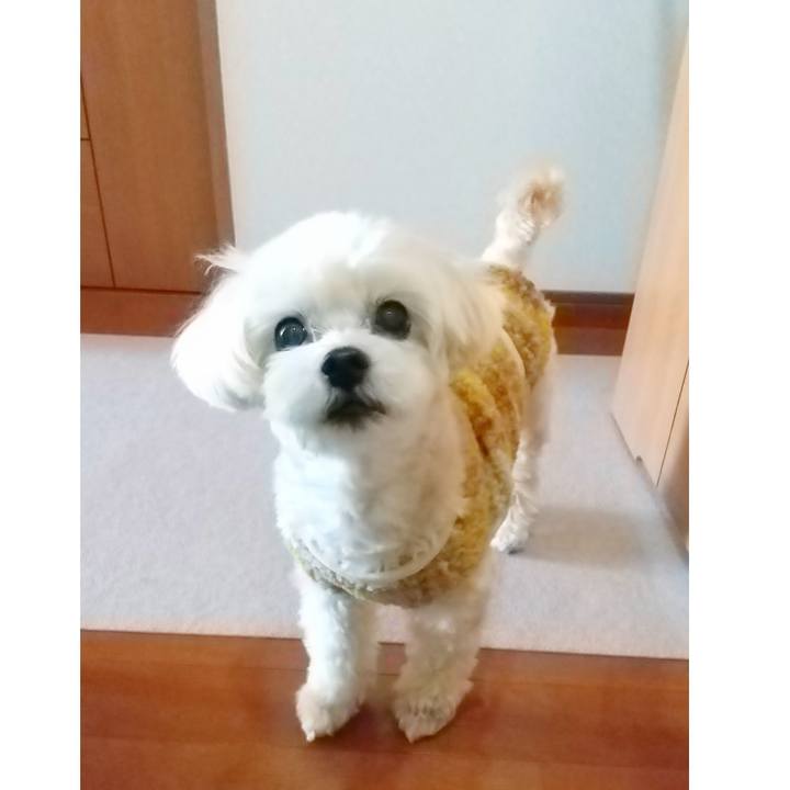 04e2fa1b 1315 41ef b1f8 fb9bc83c4abe 1638582251094