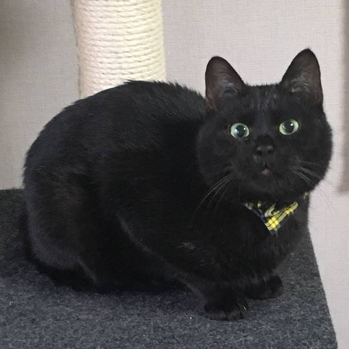 04e38b6a a52b 4640 9b01 1bf396c42970 1534419653495