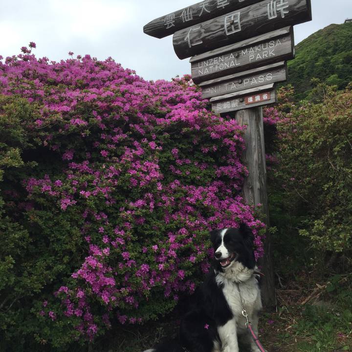 04e3d447 b032 4a15 b315 8d7e5b855747 1526904664651