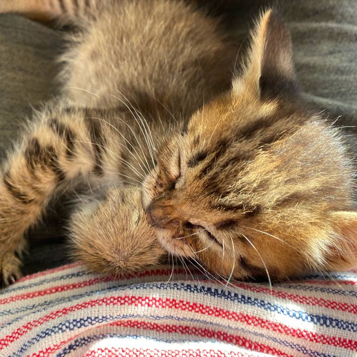 04e3d744 1178 4f73 abe4 2ef1547fc71c 1635140881990