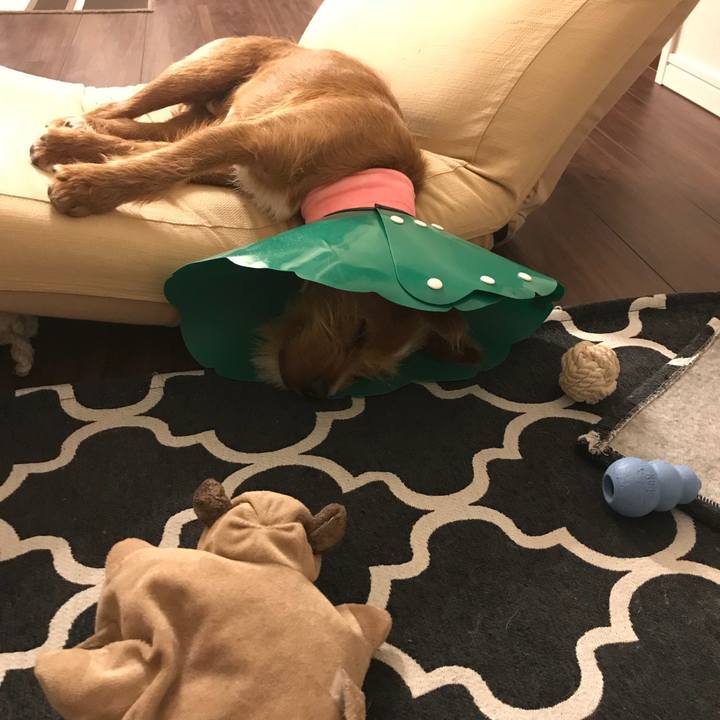 04e3db62 7337 4f6b a50c ed0179a85c5f 1526305858723