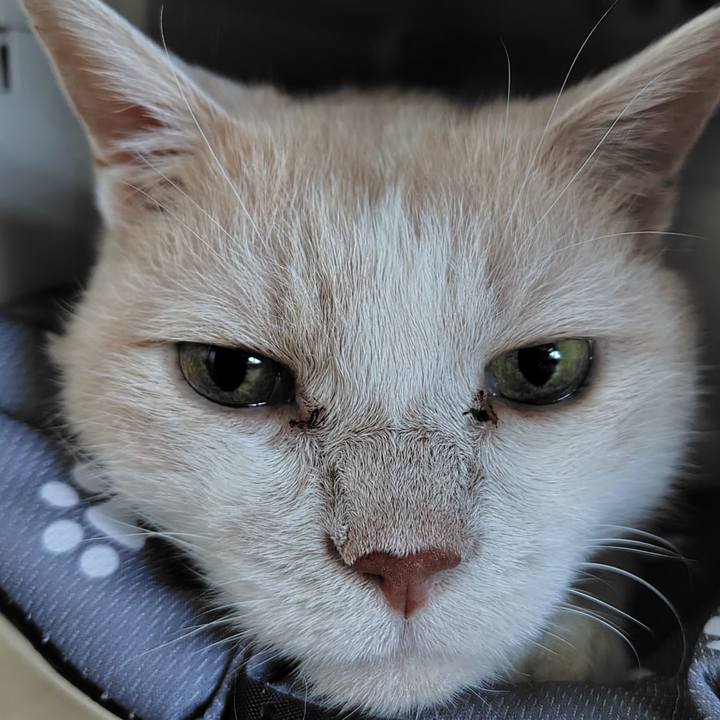 04e40f63 8b78 47a5 9d6c 7232f8f2e38c 1757110768372