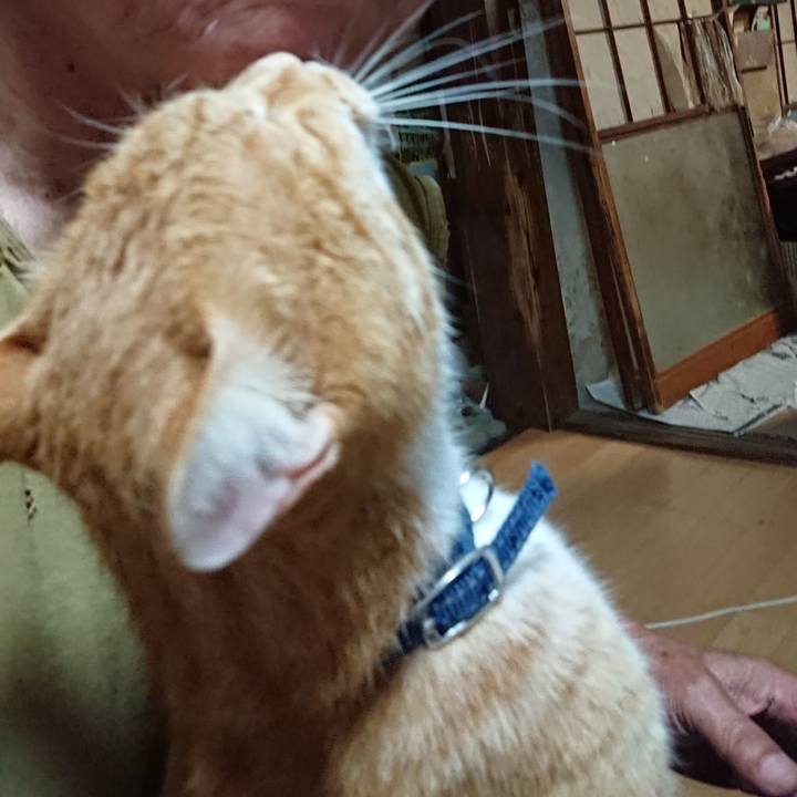 04e4230e e120 4e42 9a61 cec61d5c82a3 1597612290867