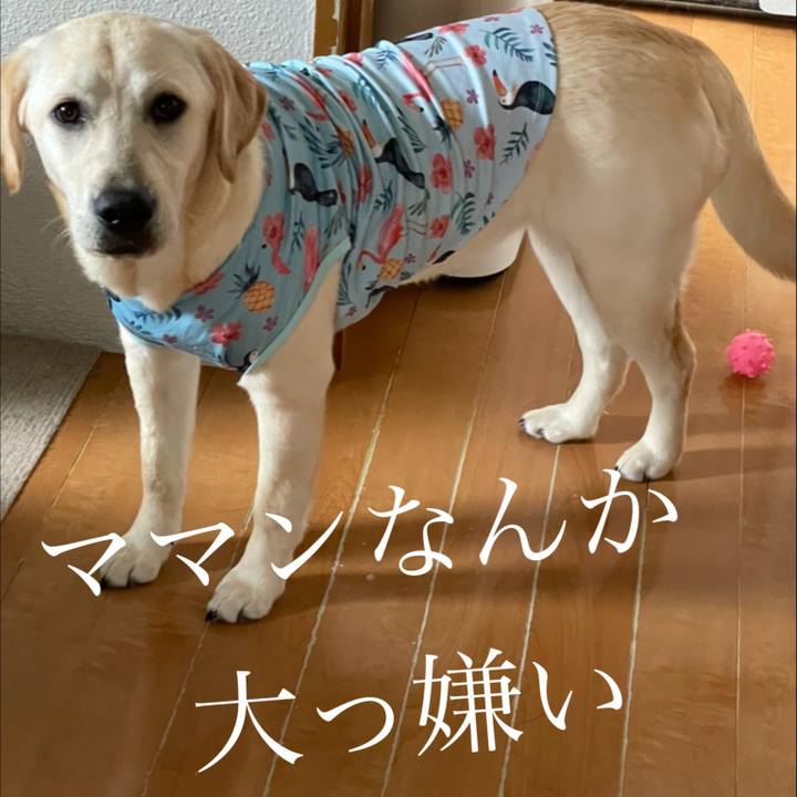 04e438a6 257e 43a4 bd02 b5875a60eaec 1623806640989