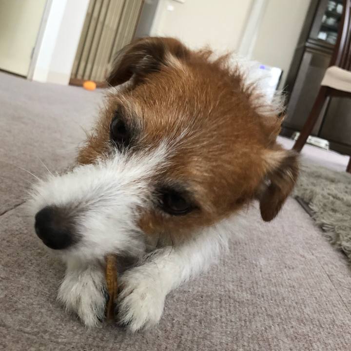 04e45d9e e272 4991 be17 195412d29137 1600759333098