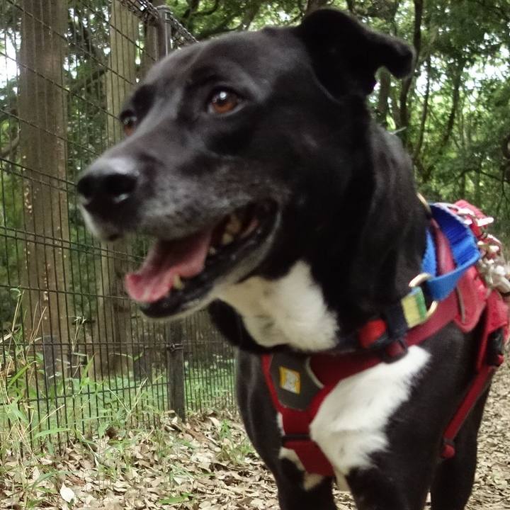 04e494a4 0244 4c78 b0a6 09e99bcb6f05 1683937206177